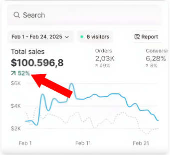 Shopify dashboard showing $100,596.8 total sales from Feb 1 to Feb 24, 2025 with orders and conversion rate.